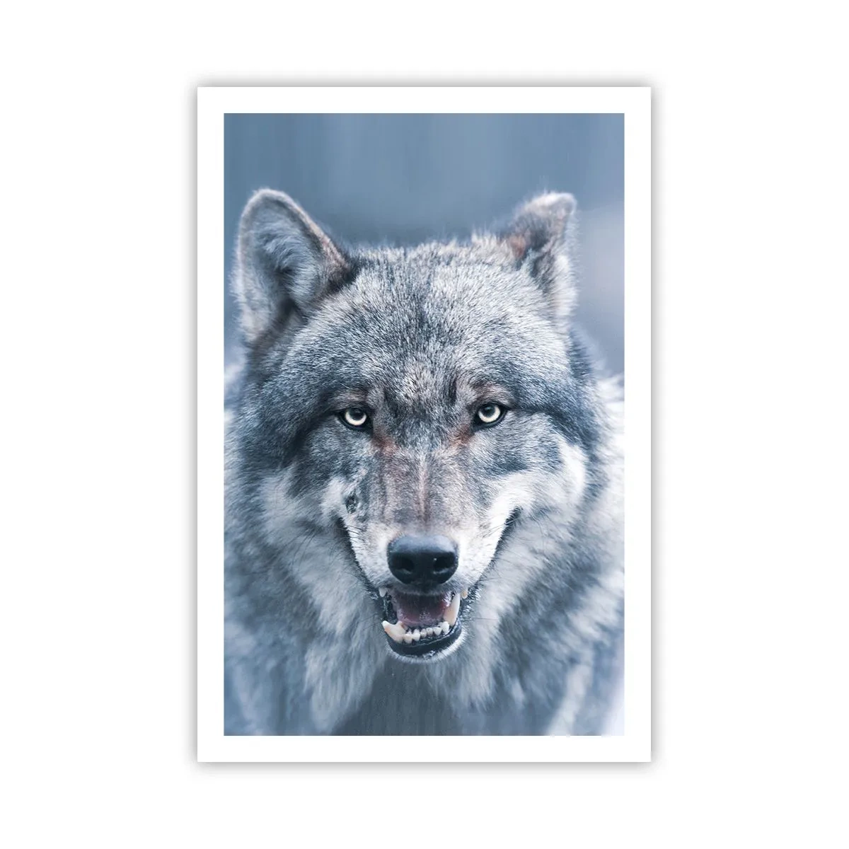 Plakat - Podejmiesz wyzwanie? - 61x91 cm