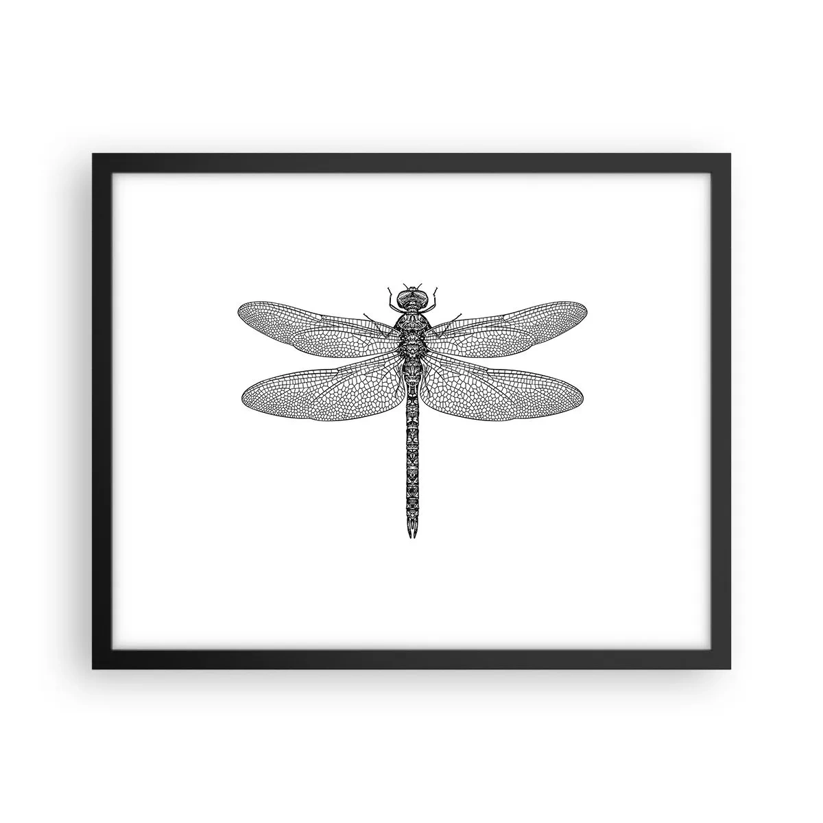 Plakat w czarnej ramie - Precyzja natury - 50x40 cm