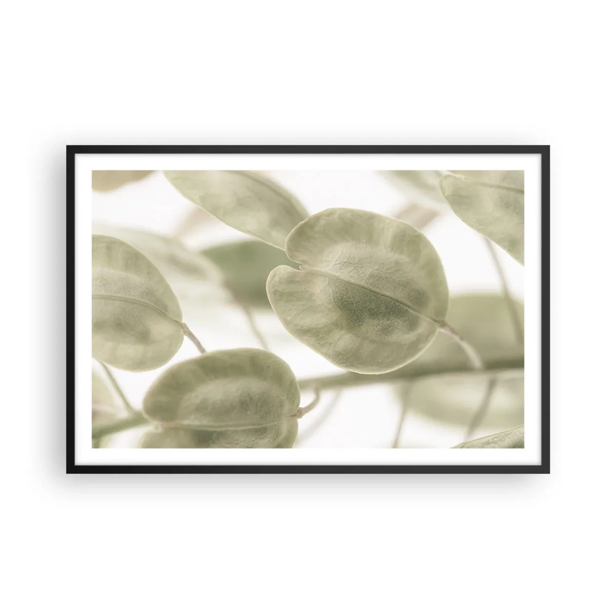 Plakat w czarnej ramie - Na początku były listki… - 91x61 cm