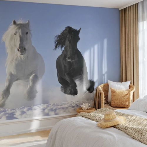 Fototapeta Premium Sand - Czarno-biały galop - Zwierzęta, Koń, Zima - 350x256 cm