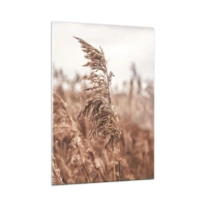 Obraz na szkle - Suszone trawy na wietrze w jesiennym świetle natury - 50x70cm - Na polach już jesień - Nowoczesna dekoracja ścienna do salonu, kuchni i sypialni ARTTOR