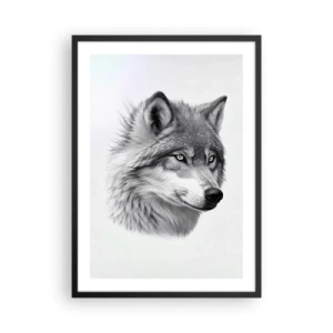 Plakat w czarnej ramie - Realistyczny portret wilka w odcieniach szarości - 50x70cm - Alfa – bez wątpienia - Nowoczesna dekoracja ścienna do salonu i sypialni ARTTOR