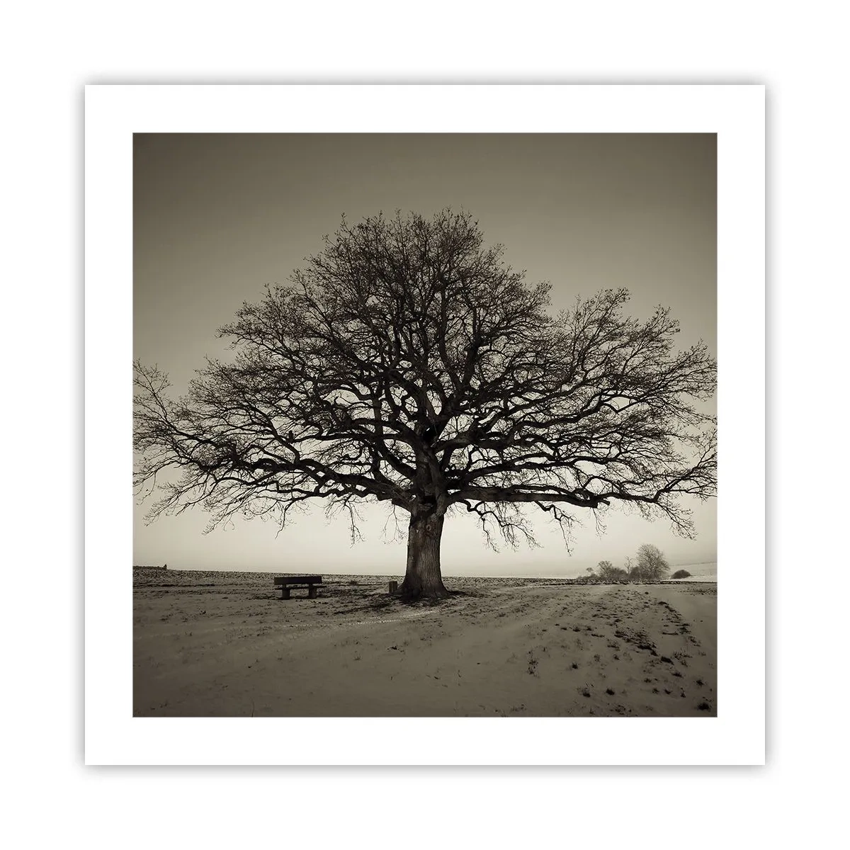 Plakat - Stąd do wieczności - 50x50 cm