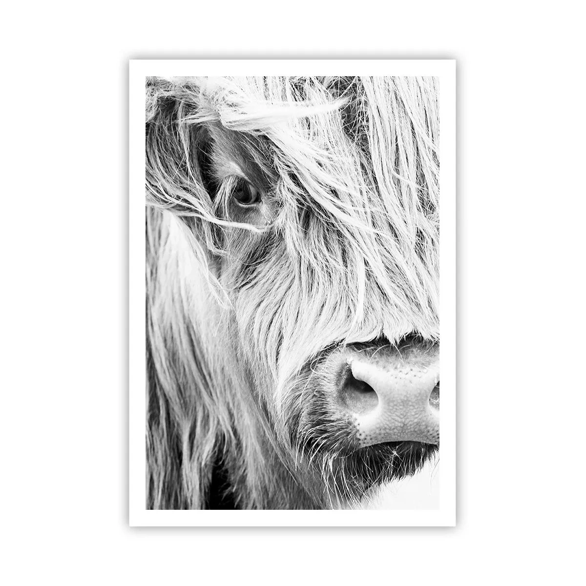 Plakat - Szkocka dzikość - 70x100 cm