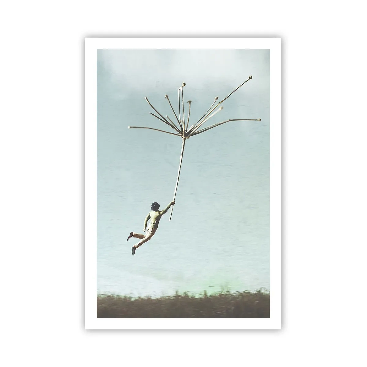 Plakat - Latawce, dmuchawce, wiatr - 61x91 cm