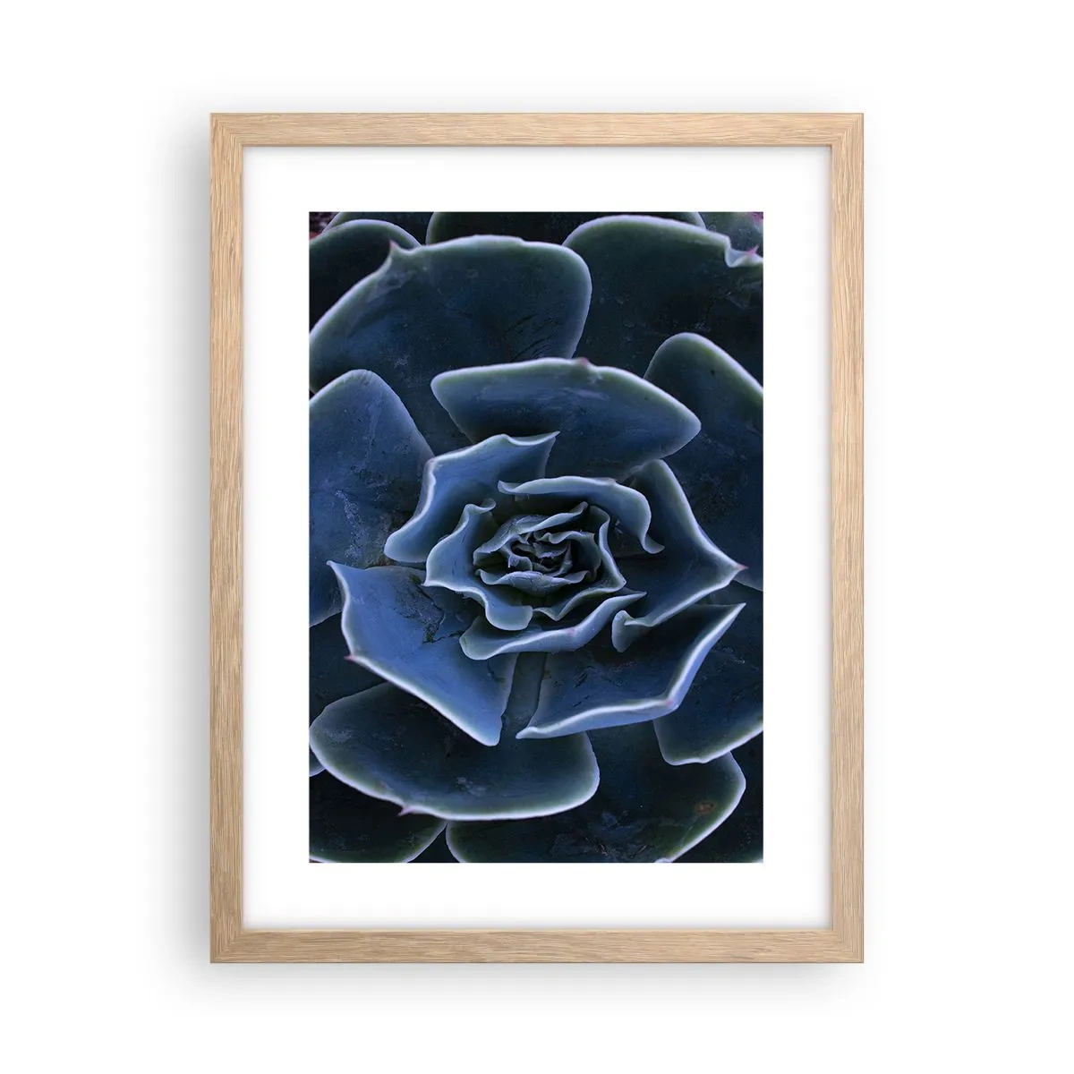 Plakat w ramie jasny dąb - Kwiat pustyni - 30x40 cm