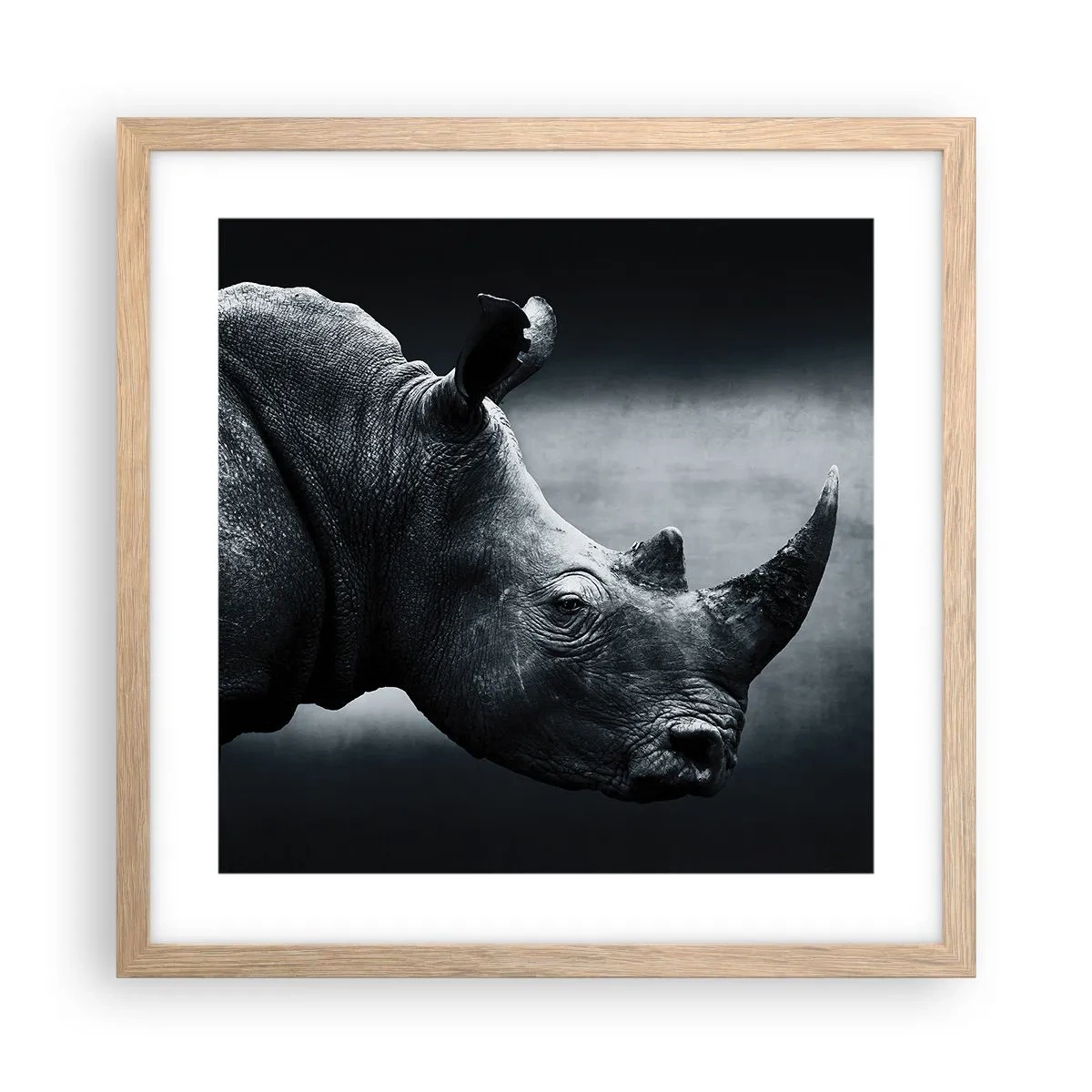 Plakat w ramie jasny dąb - Prawy profil - 40x40 cm
