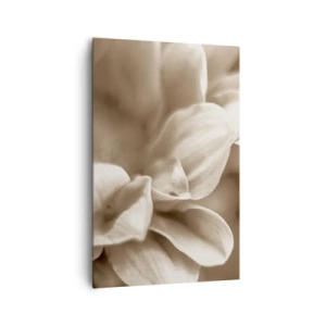 Obraz na płótnie - Zbliżenie kwiatów w delikatnej sepii o miękkich konturach - 80x120cm - Łagodne jak uśmiech - Nowoczesna dekoracja ścienna do salonu i sypialni ARTTOR