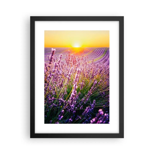 Plakat w czarnej ramie - Pachnący łan - 30x40 cm