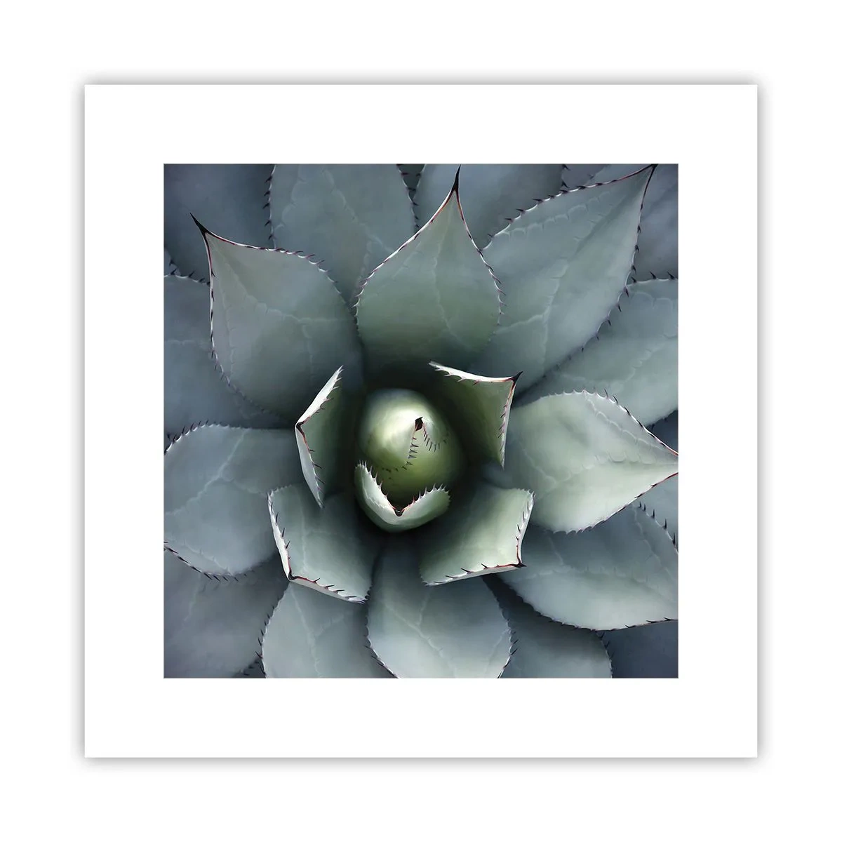 Plakat - Wabi i przestrzega - 30x30 cm