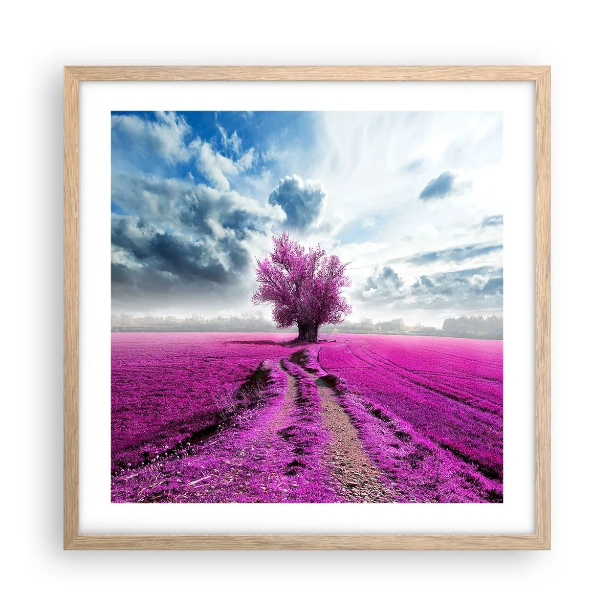 Plakat w ramie jasny dąb - Wrzosowisko - uroczysko - 50x50 cm