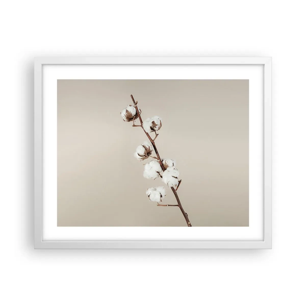 Plakat w białej ramie - U źródła miękkości - 50x40 cm