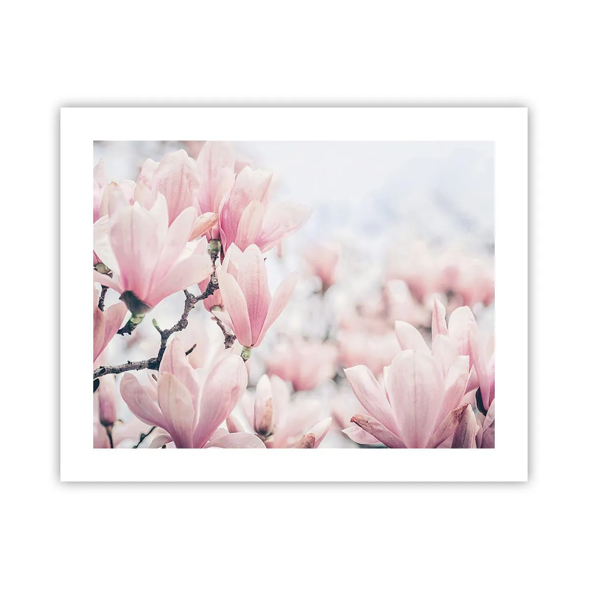 Plakat - Ideał subtelności - 50x40 cm