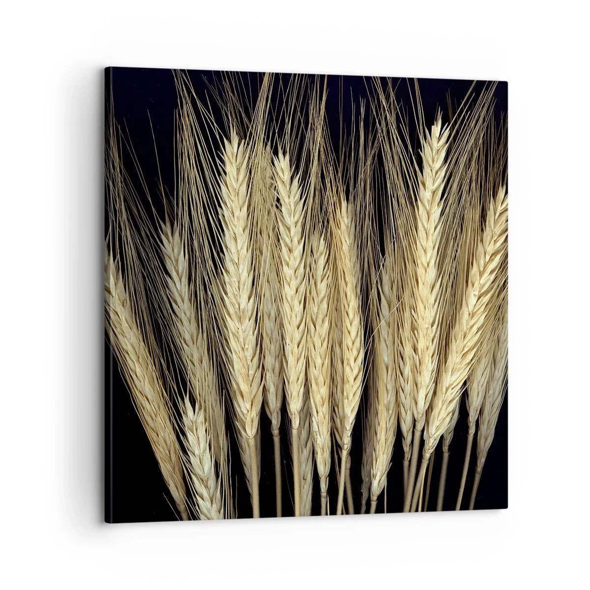 Obraz na płótnie - Rustykalna magia - 60x60 cm