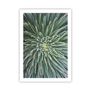 Plakat - Zbliżenie na zieloną roślinę o symetrycznym układzie liści - 50x70cm - Narodziny gwiazdy - Nowoczesna dekoracja ścienna do salonu, kuchni i sypialni ARTTOR