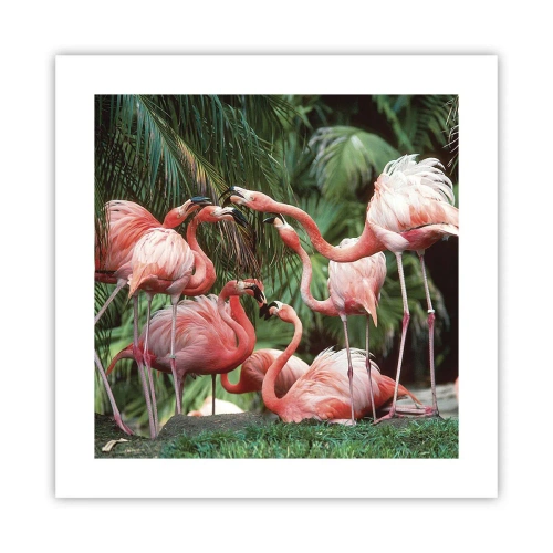 Plakat - Popołudniowe ploteczki - 40x40 cm