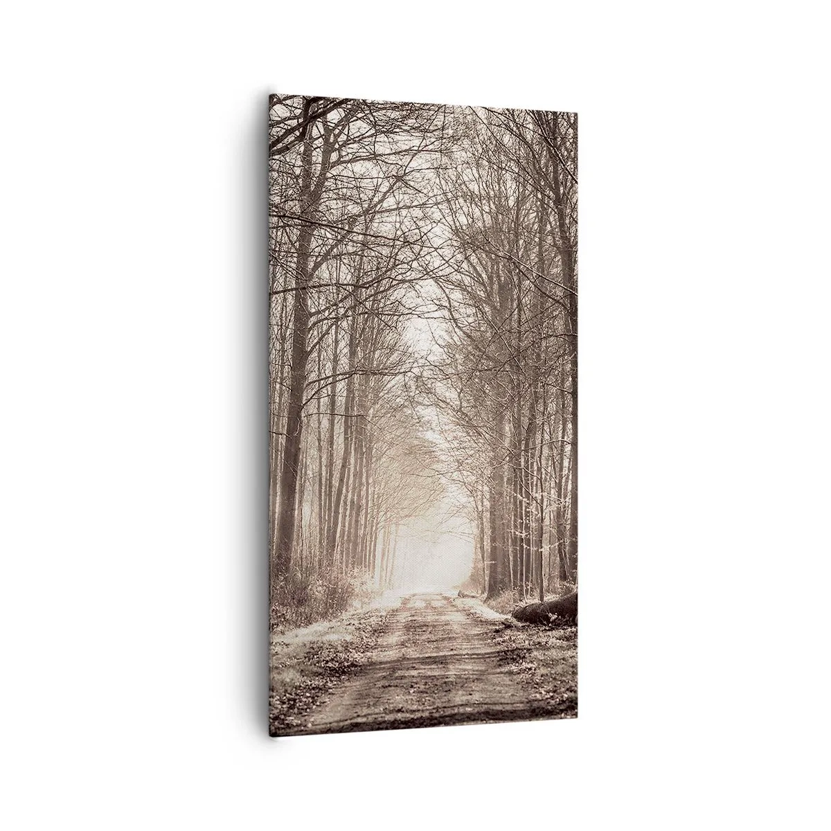 Obraz na płótnie - Leśna katedra - 65x120 cm