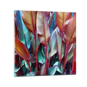 Obraz na szkle - Kolorowy gąszcz - 40x40 cm