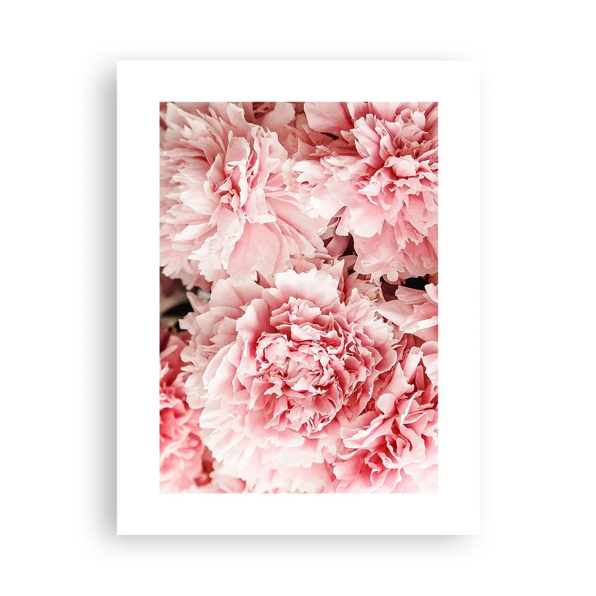 Plakat - Różowe marzenie - 30x40 cm