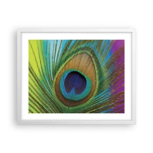 Plakat w białej ramie - Oko w oko - 50x40 cm