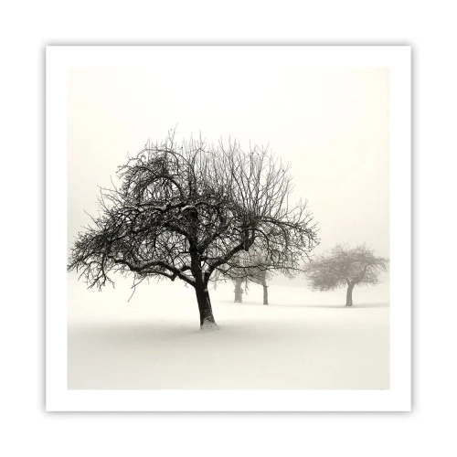 Plakat - Zimowy sen - 60x60 cm