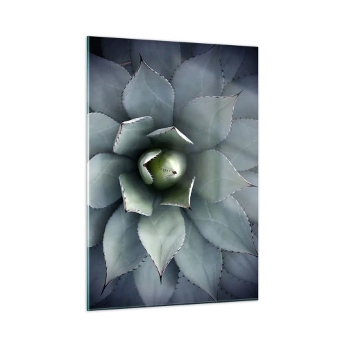 Obraz na szkle - Zbliżenie symetrycznych liści agawy o stalowej barwie - 50x70cm - Wabi i przestrzega - Nowoczesna dekoracja ścienna do salonu, kuchni i sypialni ARTTOR