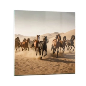 Obraz na szkle - Wolne jak wiatr - 60x60 cm