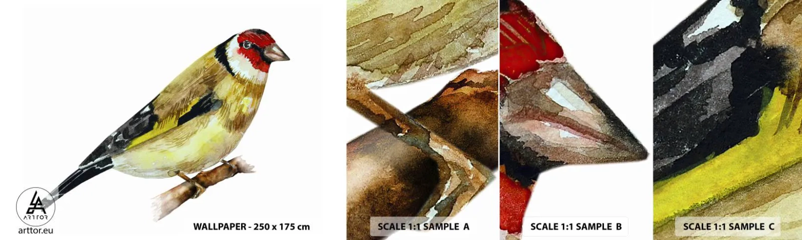 Fototapeta Próbka Samoprzylepna Deluxe Sticker - Ptasi portret - Szczygieł, Ptak, Sztuka - 100x30 cm