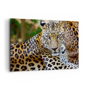 Obraz na płótnie - Jaguar odpoczywający w naturalnym otoczeniu z zielonym tłem. - 120x80cm - Dziki i spokojny - Nowoczesna dekoracja ścienna do salonu, kuchni i sypialni ARTTOR