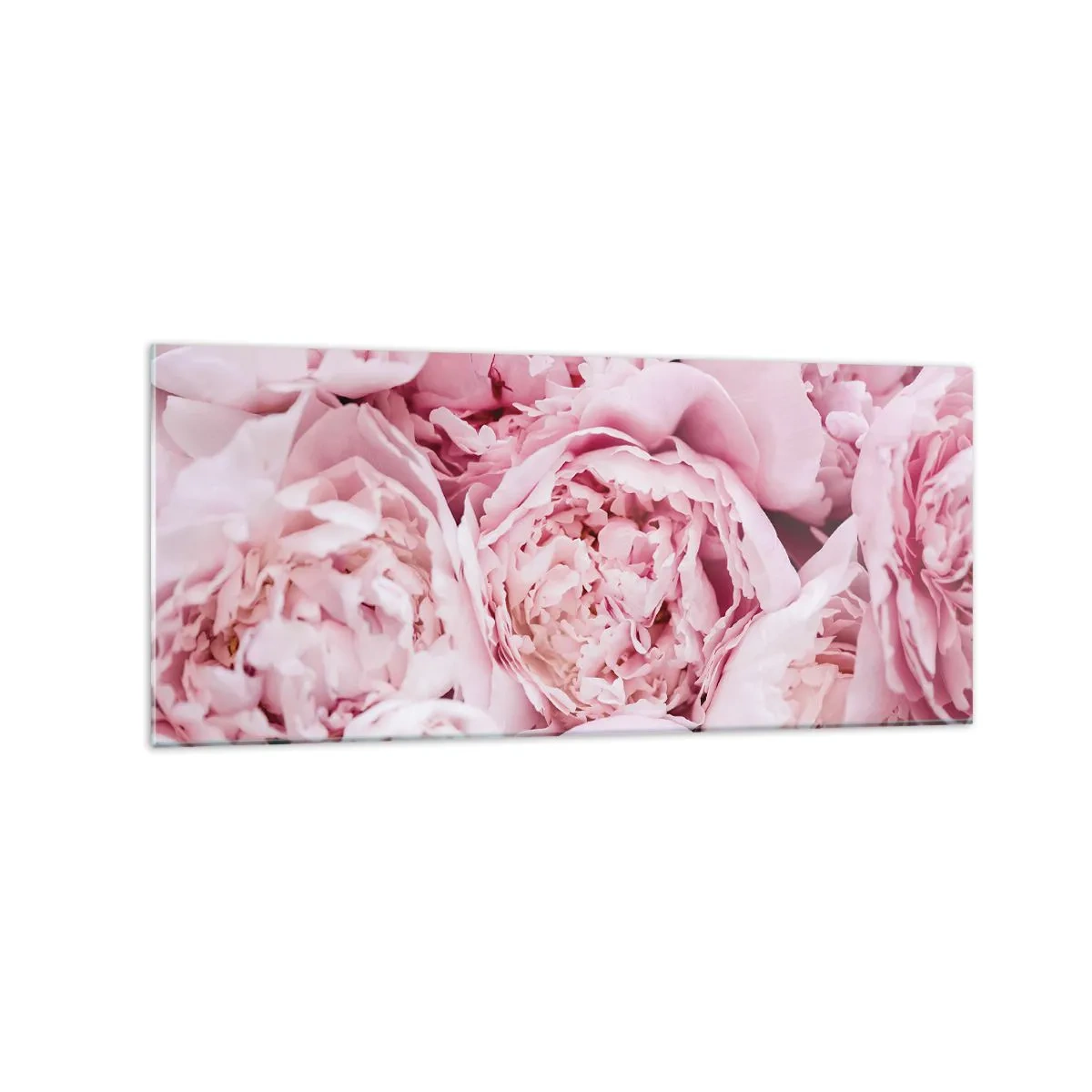 Obraz na szkle - Bukiet różowych piwonii w zbliżeniu - 120x50cm - Przytulone i pachnące - Nowoczesna dekoracja ścienna do salonu i sypialni ARTTOR