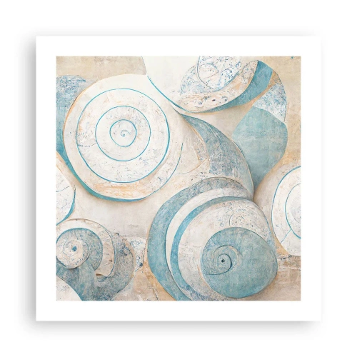 Plakat - Co kryje muszla? - 50x50 cm