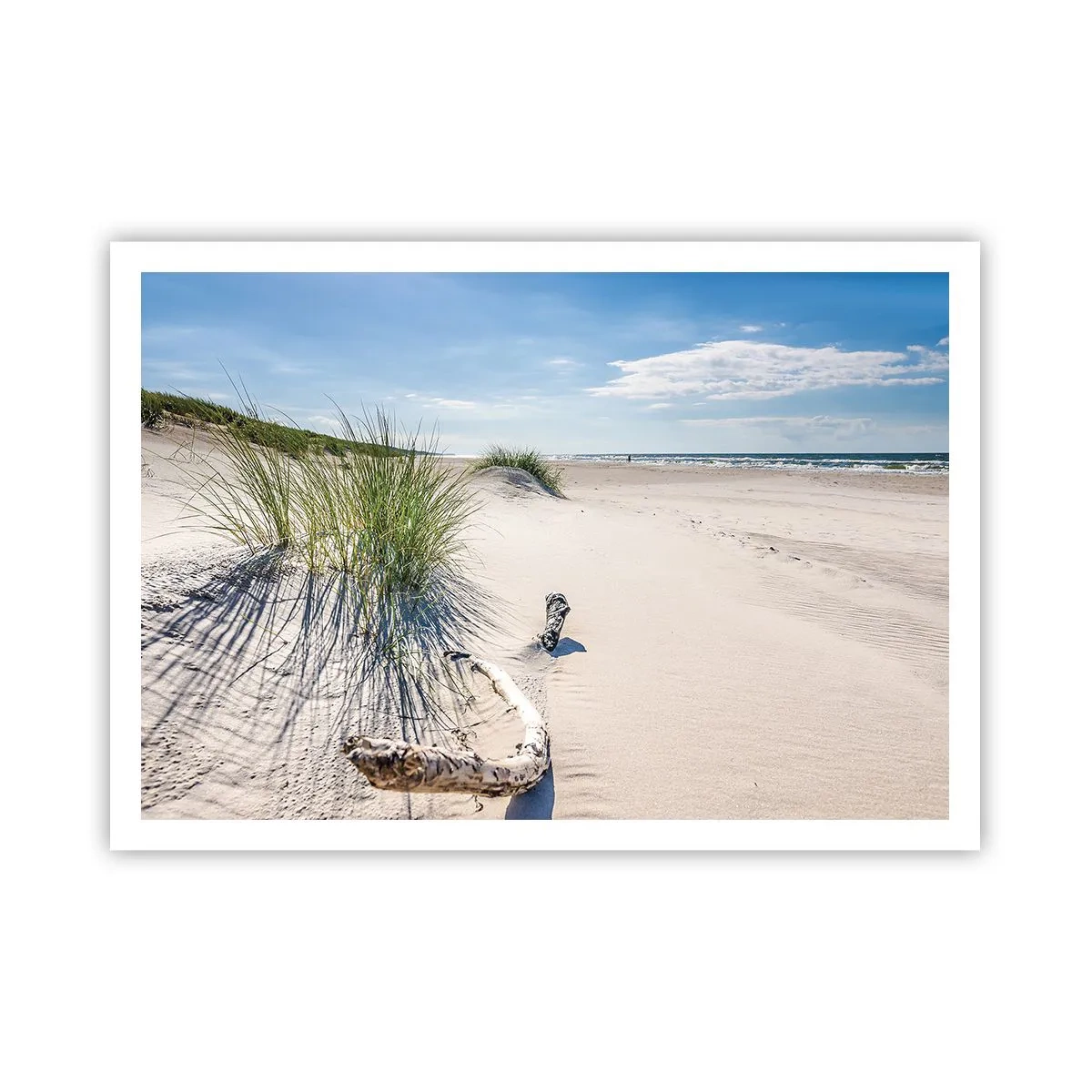 Plakat - Bałtycka plaża z piaskiem, trawami i spokojnym błękitnym niebem - 100x70cm - Najpiękniejsza? Bałtycka - Nowoczesna dekoracja ścienna do salonu i sypialni ARTTOR