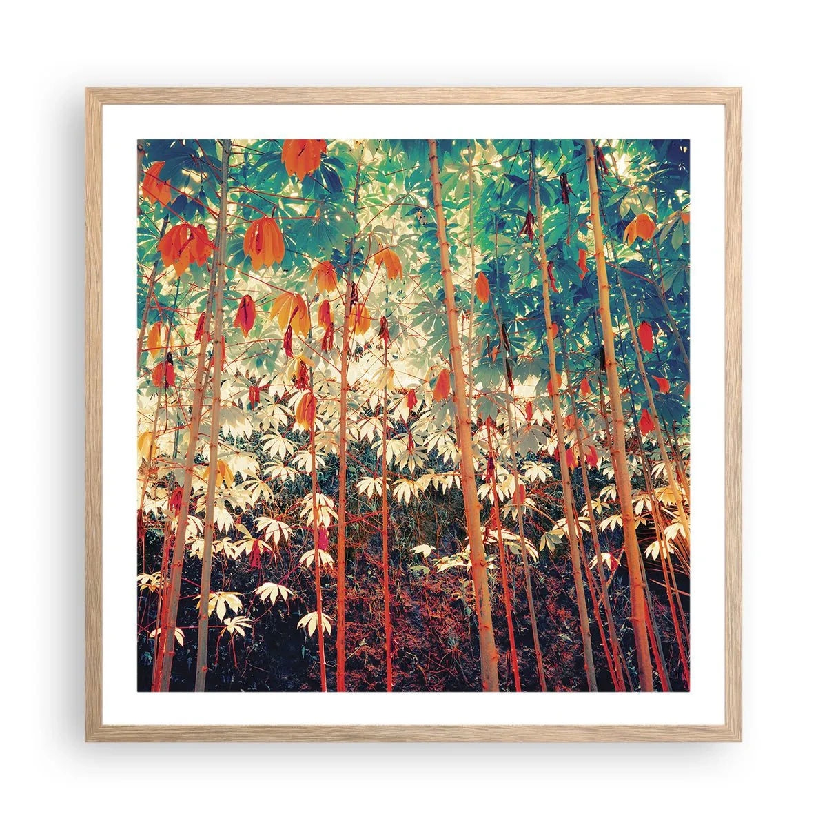 Plakat w ramie jasny dąb - Tajemne życie liści - 60x60 cm