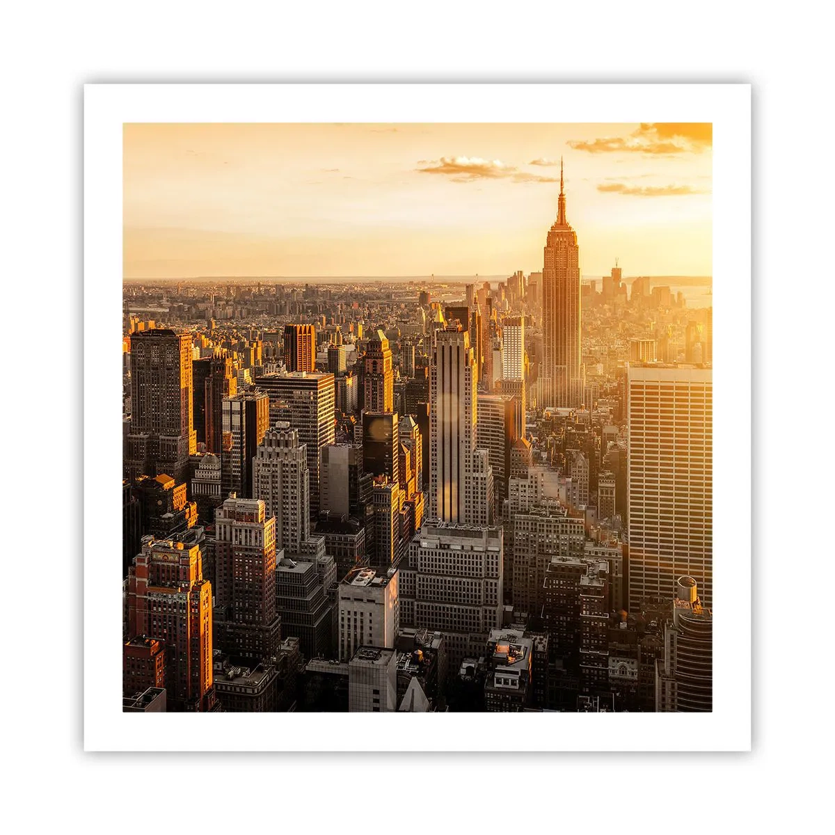 Plakat - Rosnąc w słońcu - 60x60 cm