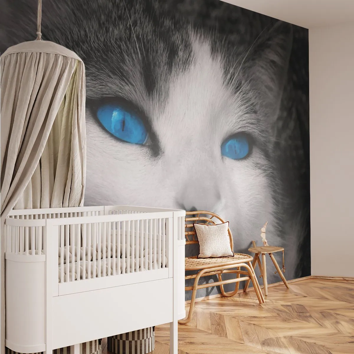 Fototapeta Premium Sand - Czarno-biały kot z intensywnie niebieskimi oczami - 100x70cm - Niezwykły niebieskooki - Nowoczesna dekoracja ścienna do salonu, kuchni i sypialni ARTTOR