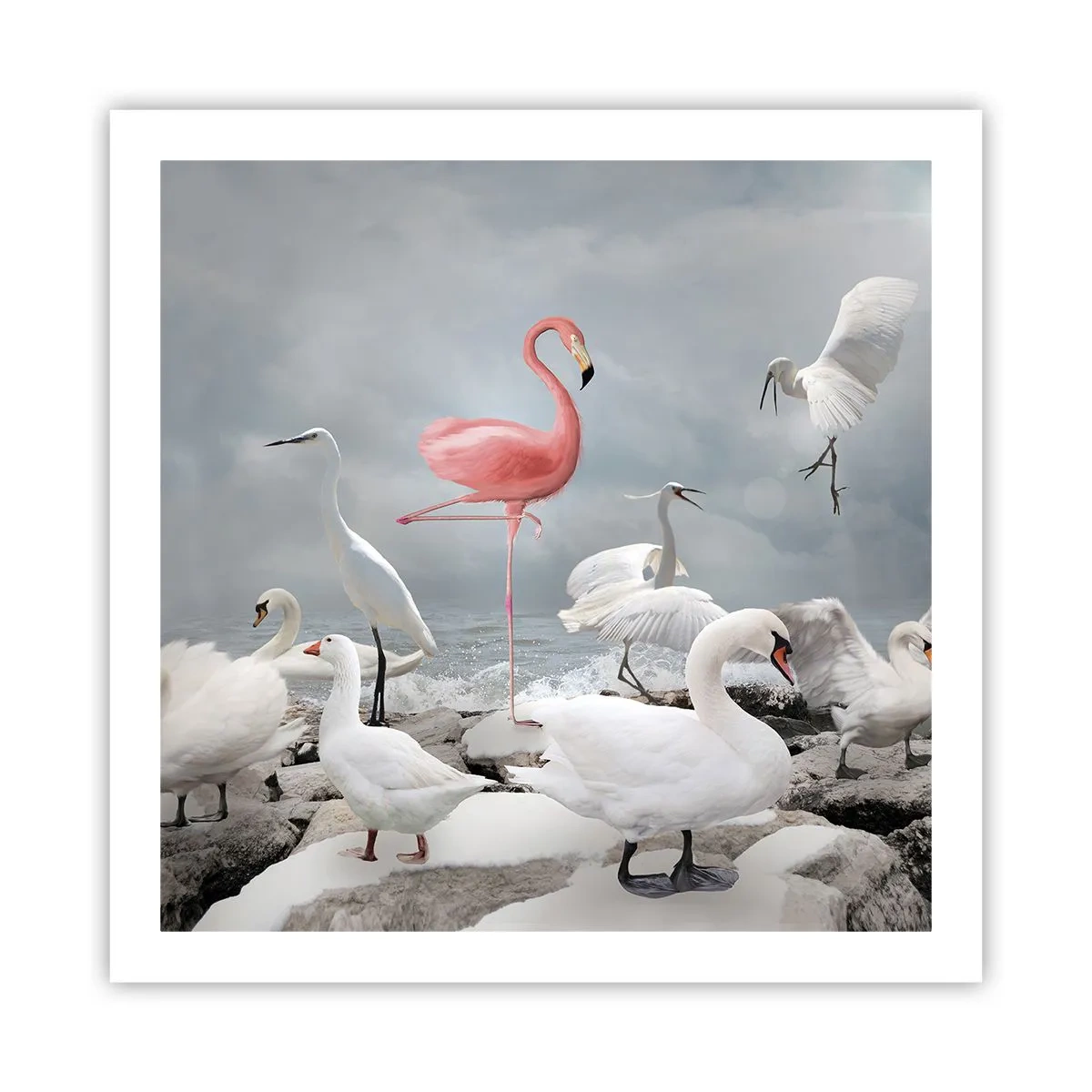 Plakat - Skąd się tu wziąłem? - 60x60 cm
