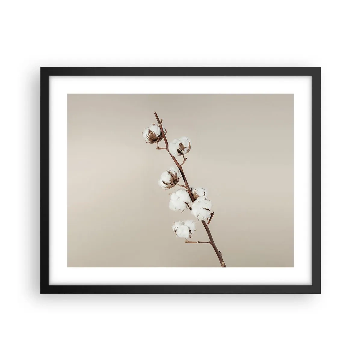 Plakat w czarnej ramie - U źródła miękkości - 50x40 cm