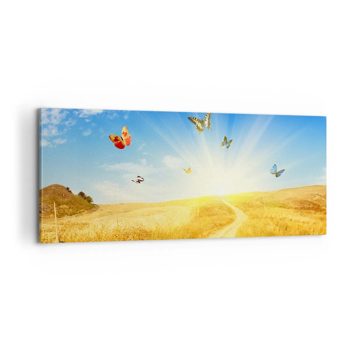 Obraz na płótnie - I jak tu nie kochać lata? - 100x40 cm