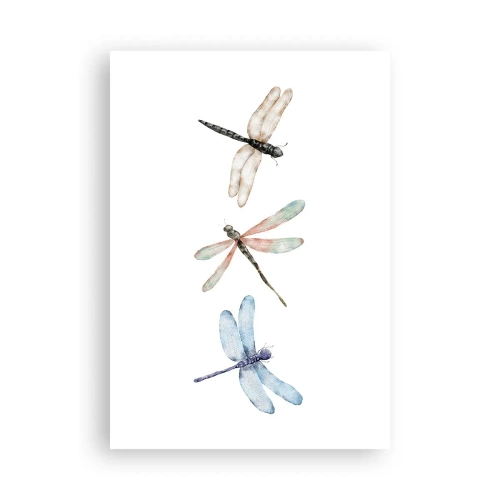 Plakat - Ważki nieważkie - 70x100 cm