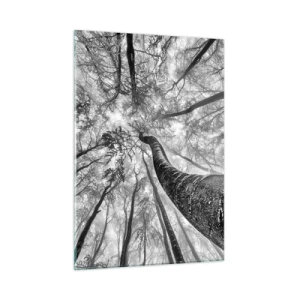 Obraz na szkle - Czarno-białe drzewa sfotografowane od dołu w kierunku nieba - 50x70cm - Wyścig do światła - Nowoczesna dekoracja ścienna do salonu, kuchni i sypialni ARTTOR