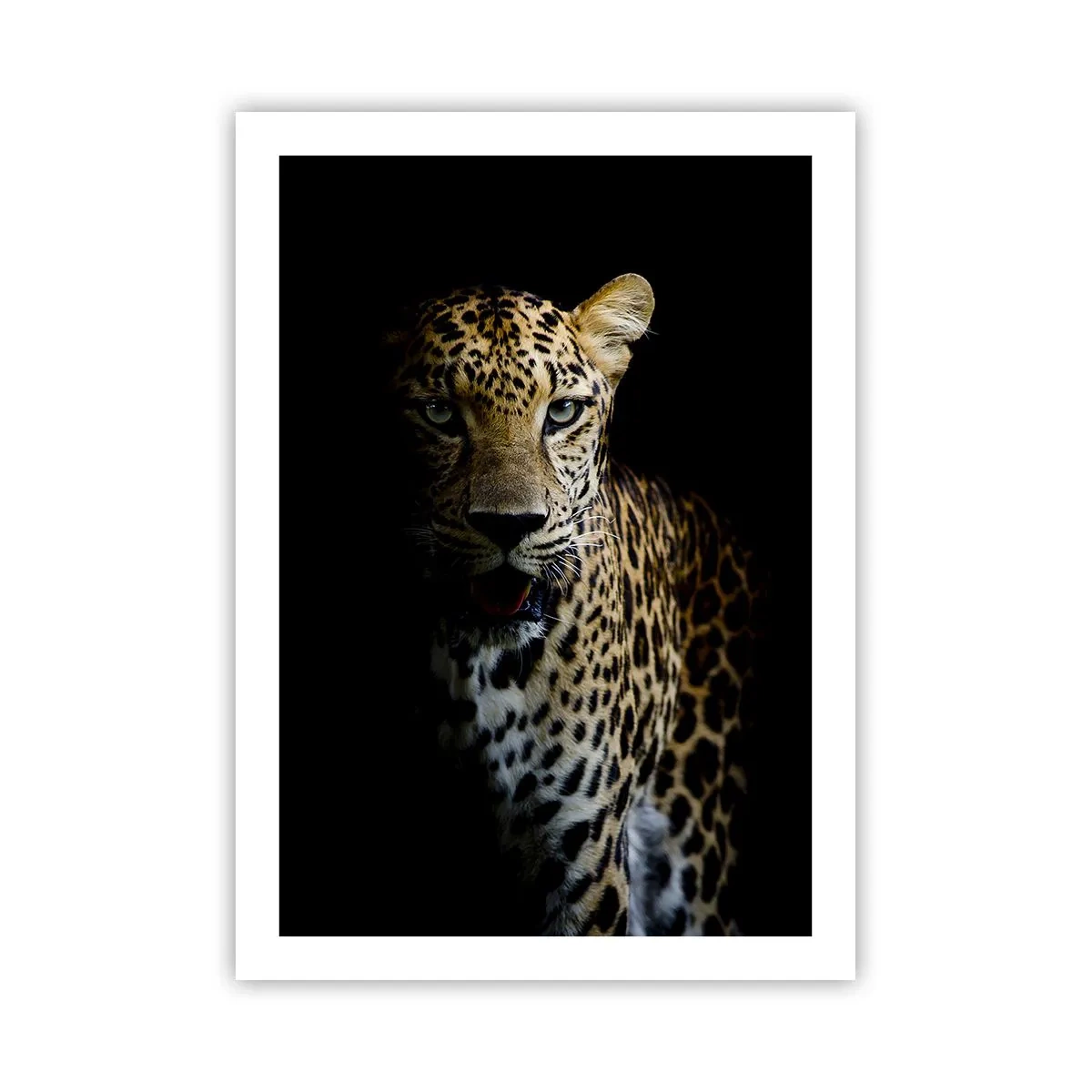Plakat - Leopard na tle ciemnego tła z wyrazistymi detalami sierści - 50x70cm - Mroczne piękno - Nowoczesna dekoracja ścienna do salonu, kuchni i sypialni ARTTOR