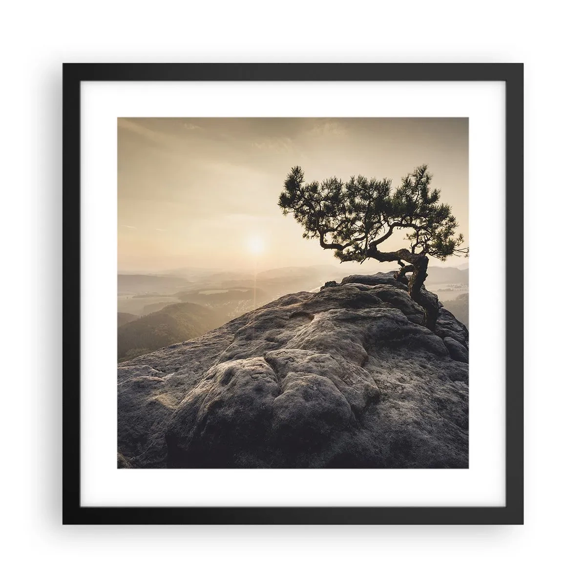 Plakat w czarnej ramie - Życie zawsze zwycięża - 40x40 cm