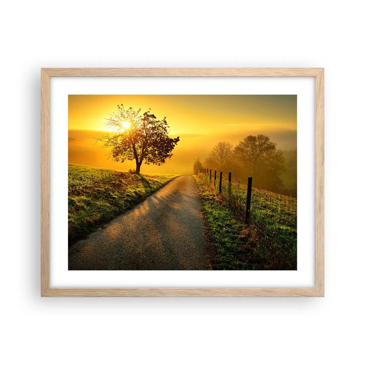 Plakat w ramie jasny dąb - Miodne popołudnie - 50x40 cm