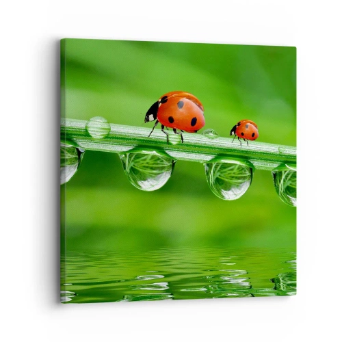 Obraz na płótnie - W drodze całe lato - 30x30 cm