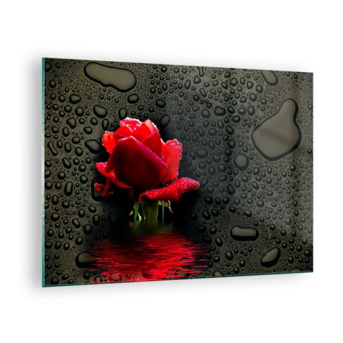 Obraz na szkle - Czerwona róża z kroplami wody na ciemnym tle - 70x50cm - Czerwone i czarne - Nowoczesna dekoracja ścienna do salonu i sypialni ARTTOR