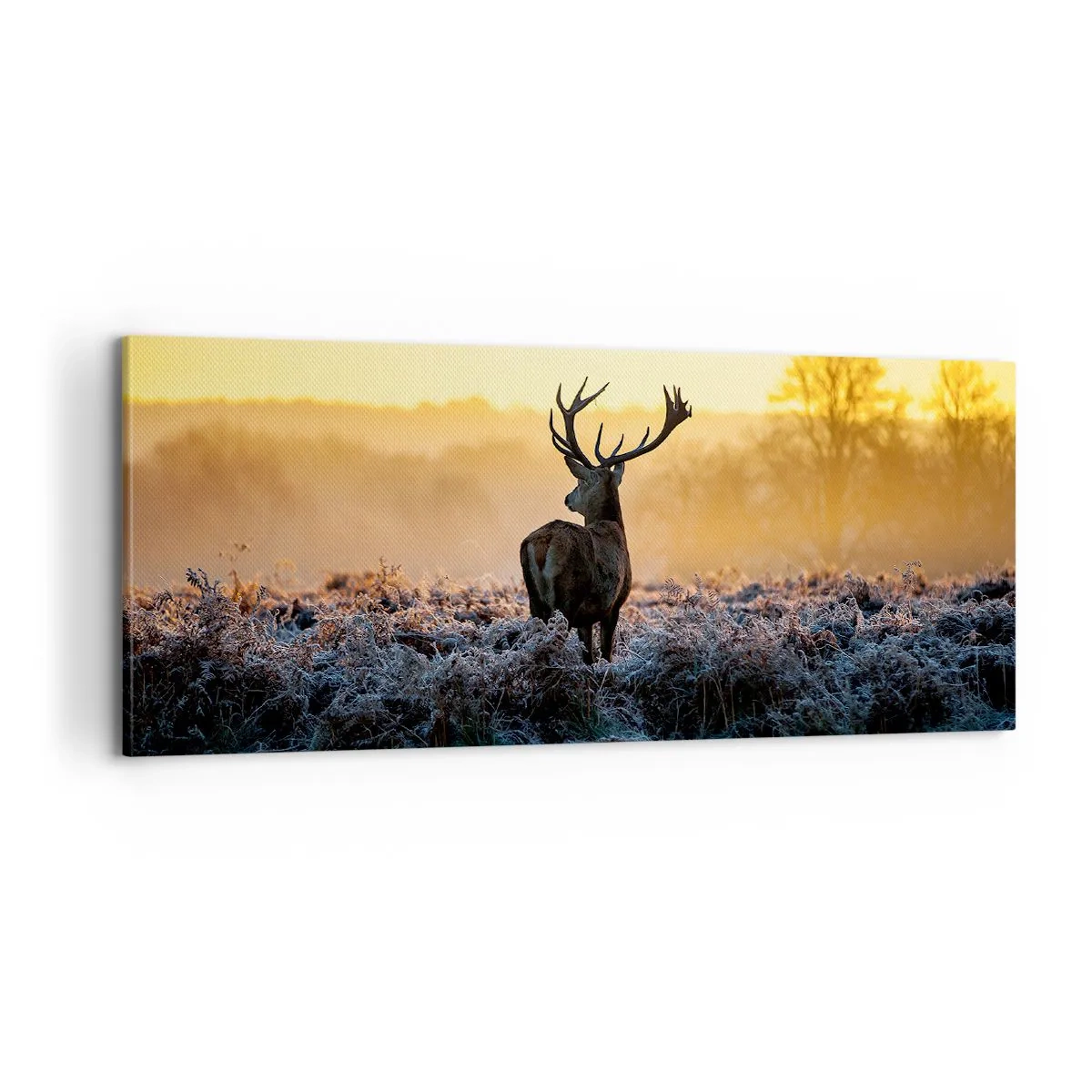 Obraz na płótnie - Koronowany na swoich włościach - 100x40 cm