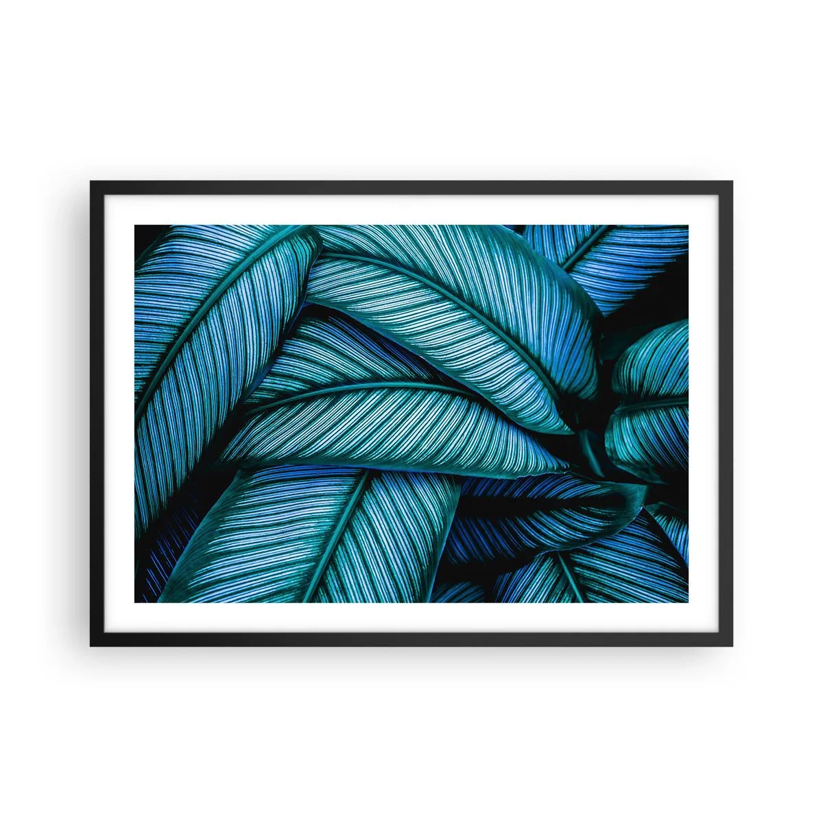 Plakat w czarnej ramie - Bliskie ujęcie turkusowych liści o wyrazistych detalach - 70x50cm - Linie życia - Nowoczesna dekoracja ścienna do salonu i sypialni ARTTOR