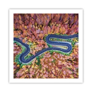 Plakat - Krętą drogą poprzez las - 60x60 cm