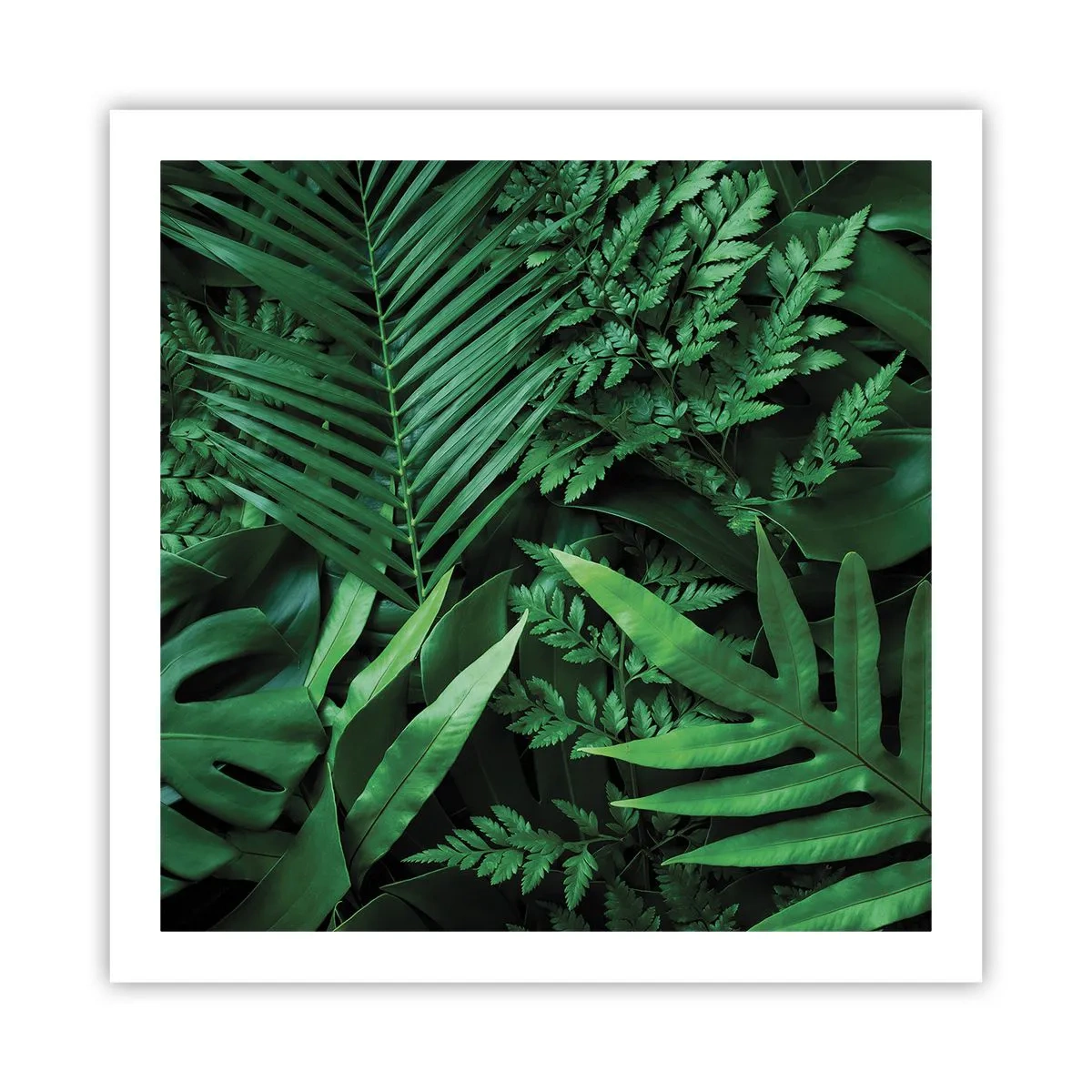 Plakat - Utulone w zieleni - 60x60 cm