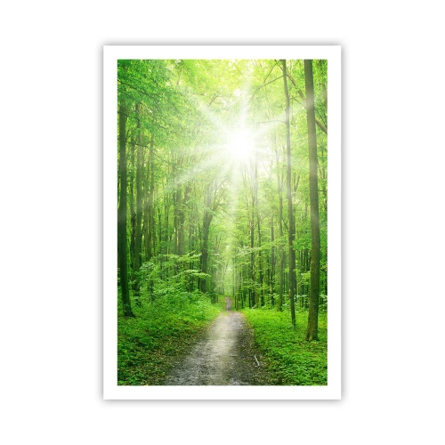 Plakat - Zielona katedra - 61x91 cm